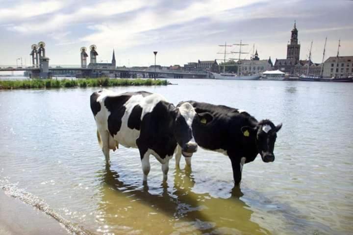 Hotel Van Dijk Kampen Exteriér fotografie